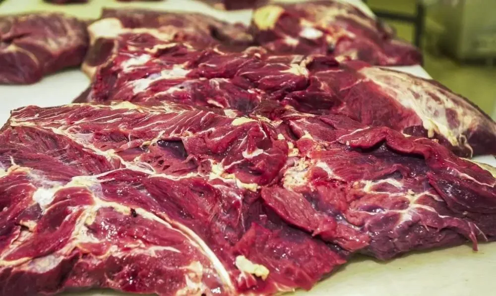 UE veta importação de carne bovina do Brasil a partir de setembro