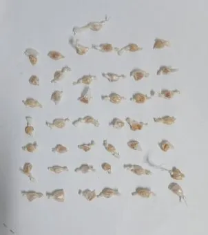 Ipiaú: Homem de 36 anos é preso em flagrante por tráfico de drogas no bairro Euclides Neto