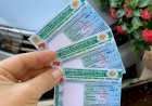 Confira a lista dos primeiros beneficiários do SER Família CNH Social