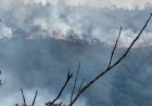 Incêndio de grandes proporções avança próximo a Terra Indígena em Barra do Garças após município decretar estado de emergência