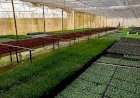 Seaf e Banco Mundial promovem missão técnica para lançamento do Programa MT Produtivo – Desenvolvimento e Sustentabilidade