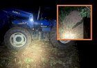 Trabalhador rural morre após ser atacado por enxame de abelhas