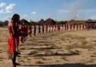 Semana dos Povos Originários: Celebração e Resistência no Araguaia