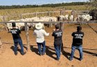 Polícia Civil recupera 33 cabeças de gado furtadas de propriedade rural em Cocalinho
