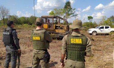 MT desmata 170 mil hectares ilegalmente em menos de um ano, aponta estudo