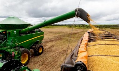 Querência: Chuvas animam produtores com expectativa de 110 sacas/ha no Milho e 64 Sacas/ha na Soja