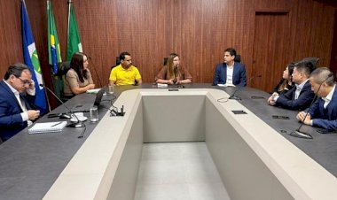 Investidores chineses avaliam instalar usina para transformar lixo em energia em Mato Grosso