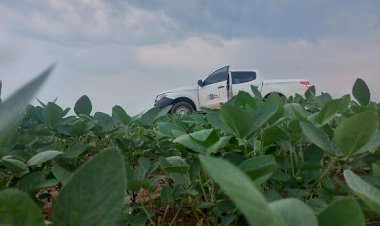Vazio sanitário da soja já está em vigência em Mato Grosso