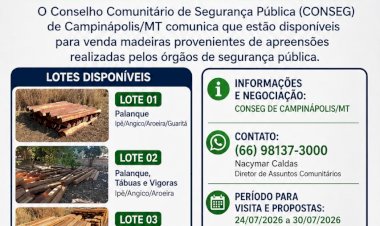 CONSEG de Campinápolis disponibiliza lotes de madeiras apreendidas para venda