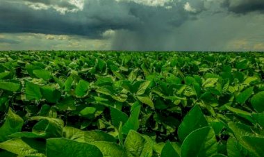 El Niño acende alerta para plantio da safra 2026/27 em Mato Grosso