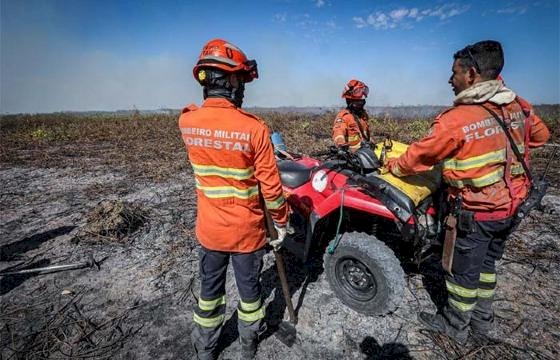 Polícia Civil já prendeu 16 pessoas por fazerem queimadas em florestas em MT