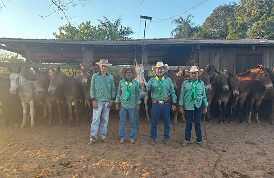 Comitiva de Bom Jesus do Araguaia percorre quase 800 km rumo à Romaria de Trindade